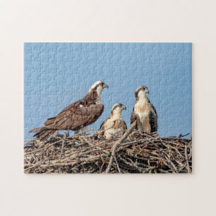 Puzzle Maman balbuzard avec ses enfants