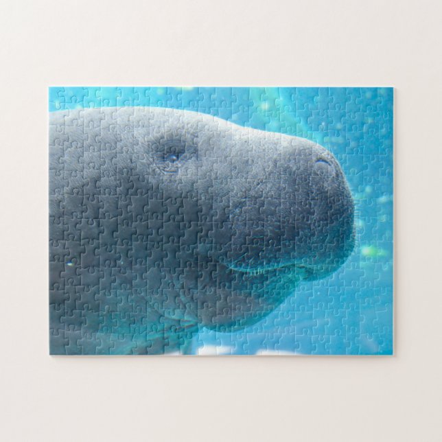 Puzzle Manatee en Floride (Horizontal)