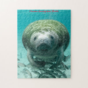 Puzzle Manatee Florida. Christmas Greetings