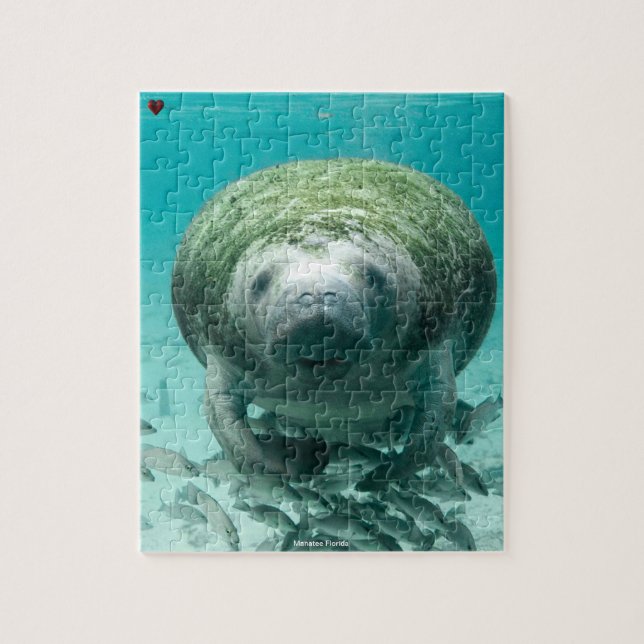 Puzzle Manatee Floride (Vertical)