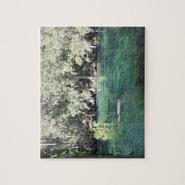 Puzzle Manatees Natation Floride Blue Springs State Park (Vertical)