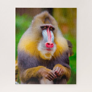 Puzzle Mandrill Monkeys.