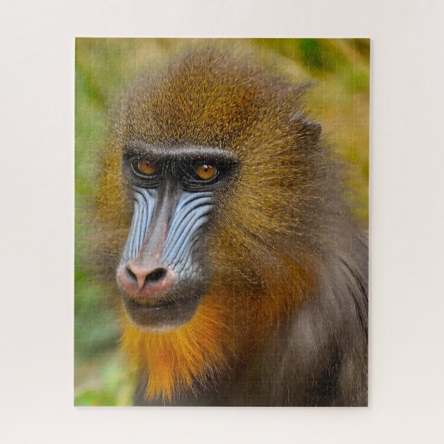 Puzzle Mandrill Singes. (Vertical)