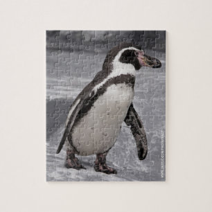 Puzzle Manège de Pingouin