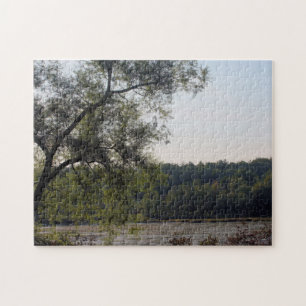 Puzzle Marais Et Arbre Serene Nature