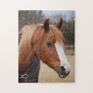 Puzzle Mare de châtaigne arabe