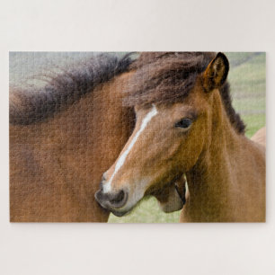 Puzzle Mare Et Colt