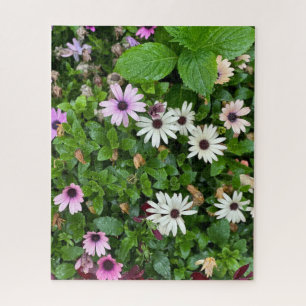 Puzzle Marguerite blanche, Séoul
