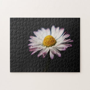 Puzzle Marguerite commune 11x14 252pc jpa