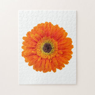 Puzzle Marguerite orange de Gerbera