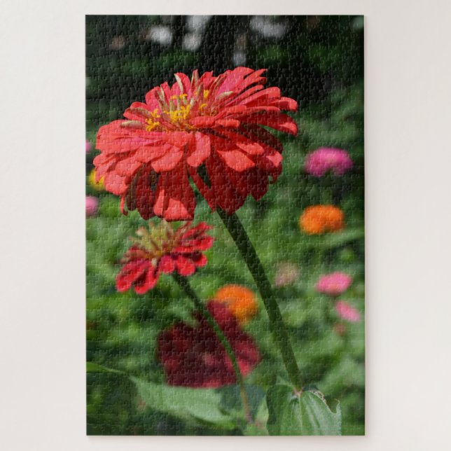 Puzzle marguerite rouge orangé fleuri, jardin de fleurs r (Vertical)