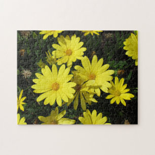 Puzzle - Marguerites jaunes