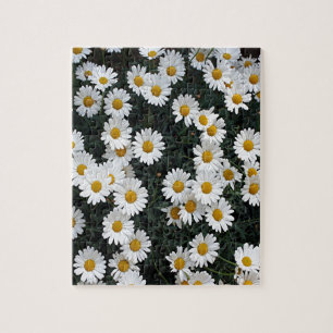 Puzzle Marguerites jaunes et blanches