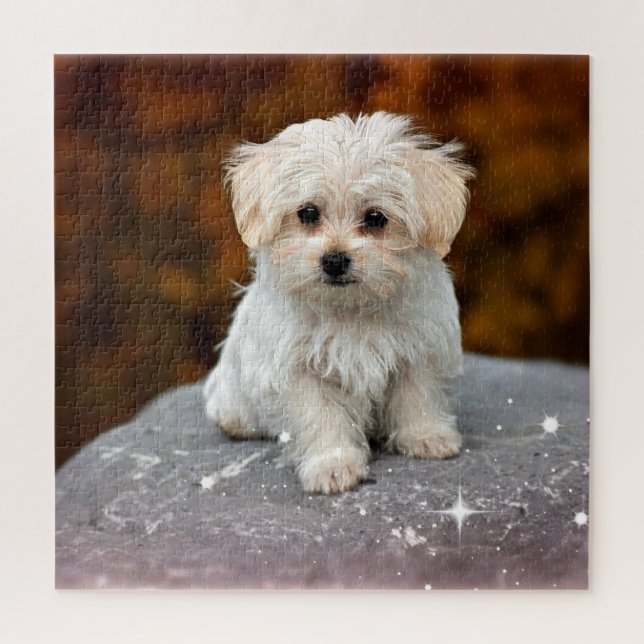 Puzzle Marionnette maltaise, oh si adorable (Vertical)