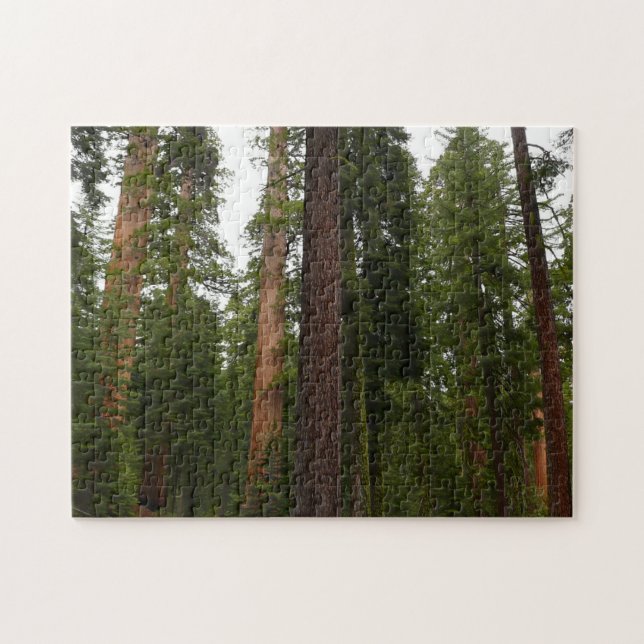 Puzzle Mariposa Grove dans le parc national de Yosemite (Horizontal)
