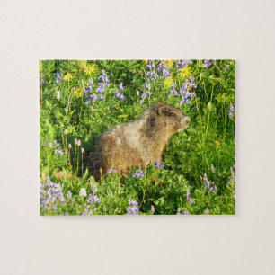 Puzzle Marmotte dans les fleurs sauvages du mont Rainier