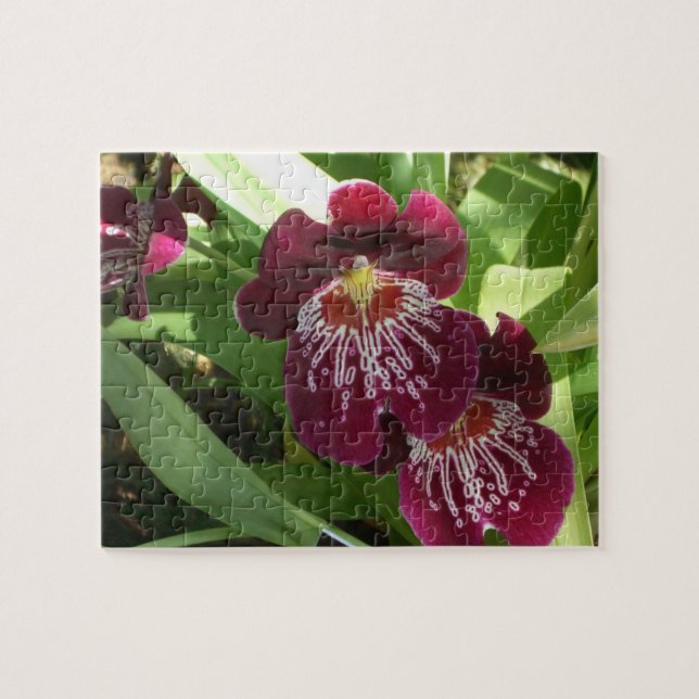 Puzzle Maroon Orchids II (Horizontal)