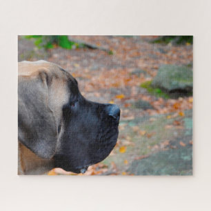 Puzzle Mastiff anglais.