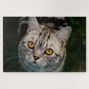 Puzzle McGonagall