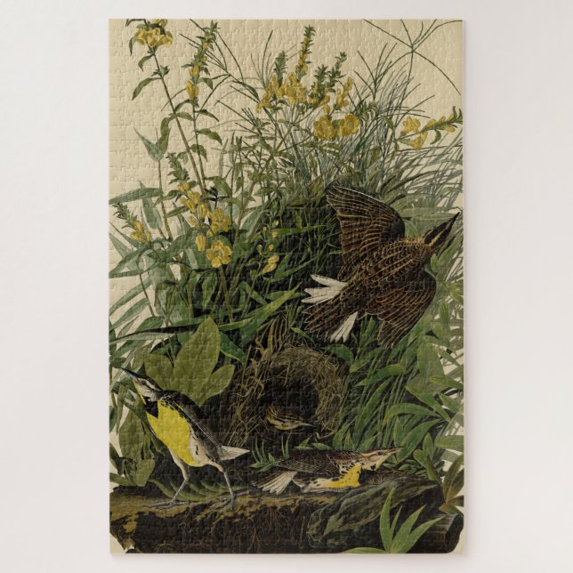 Puzzle Meadow Lark from Audubon's Birds of America (Vertical)