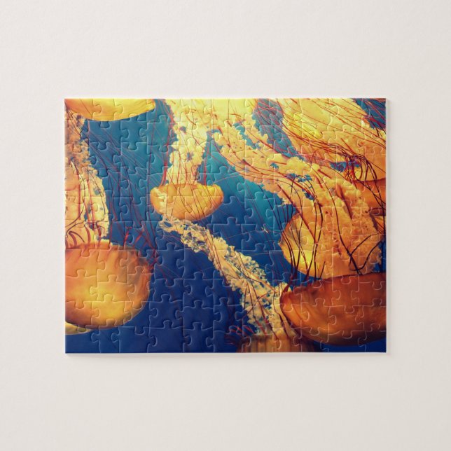 Puzzle Méduse (Horizontal)