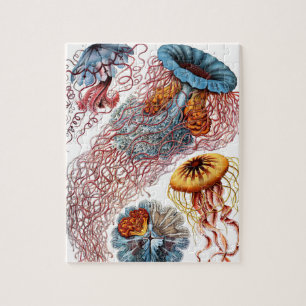 Puzzle Méduse (Scheibenquallen) par Ernst Haeckel