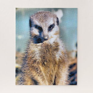 PUZZLE MEERKAT