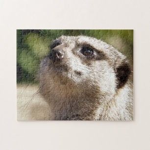 PUZZLE MEERKAT