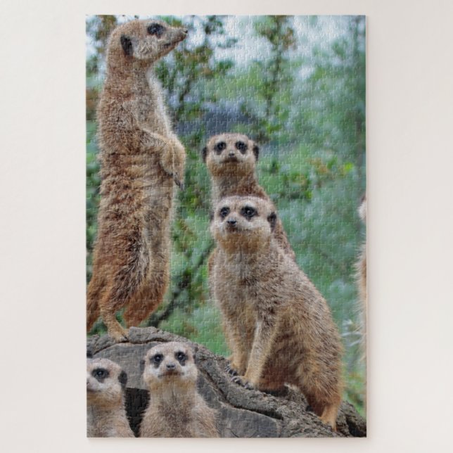 Puzzle Meerkat_003 (Vertical)