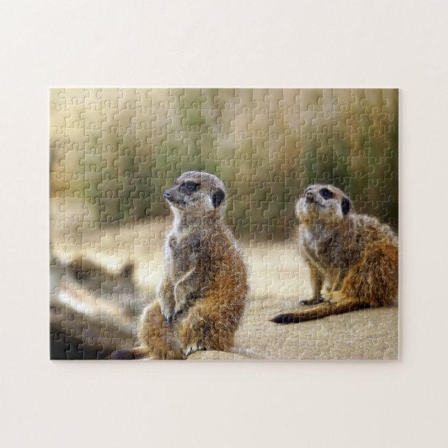 Puzzle Meerkats. (Horizontal)