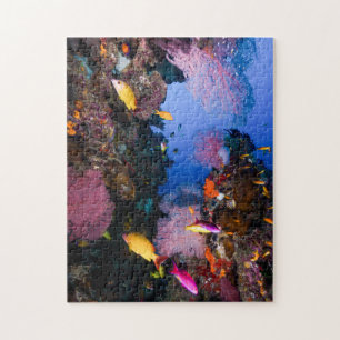 Puzzle Mer de corail de la Grande barrière de corail de