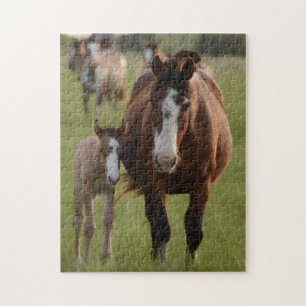 Puzzle Mère et bébé Animal Cheval Photographie Animal