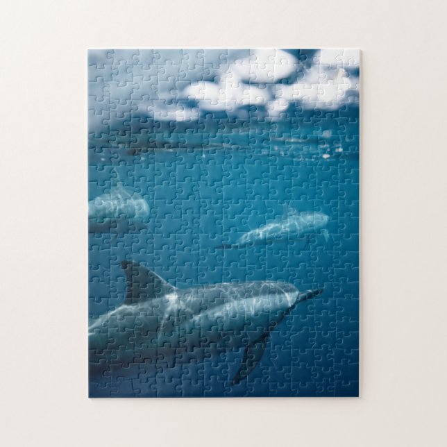 Puzzle Mère et bébé Animal Dolphin Photographie Animal (Vertical)