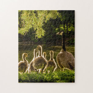 Puzzle Mère et bébé Animal Duck Photographie Animal