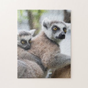 Puzzle Mère et bébé Animal Lemur Photographie Animal