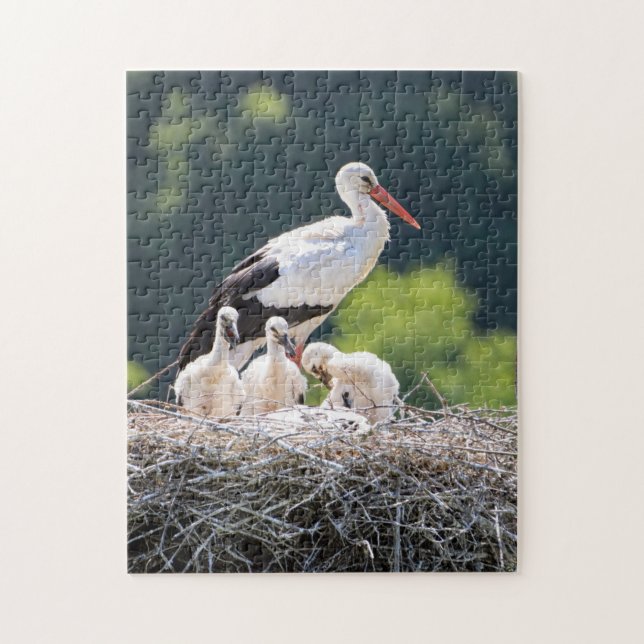 Puzzle Mère et bébé Animal Oiseau Photographie Animal (Vertical)