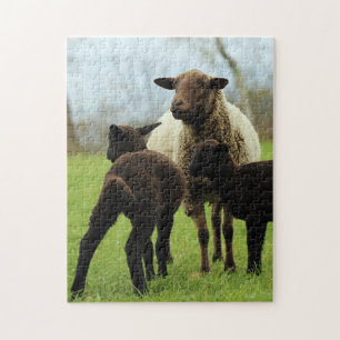 Puzzle Mère et bébé Animal Sheep Photographie Animal