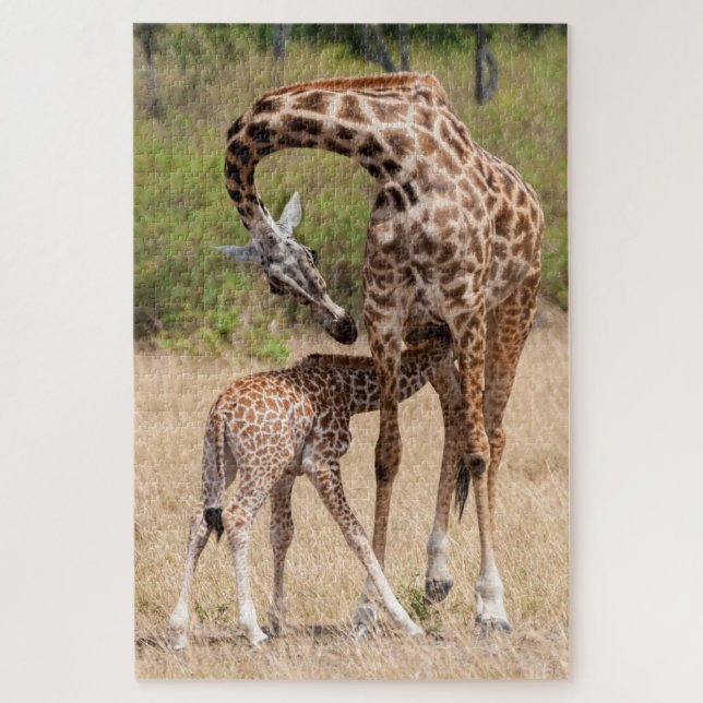 Puzzle Mère et bébé en girafe au Kenya (Vertical)