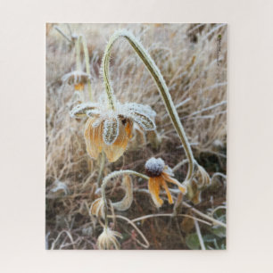 Puzzle Mère Nature Touché Frosty Rudbeckia Fleurs