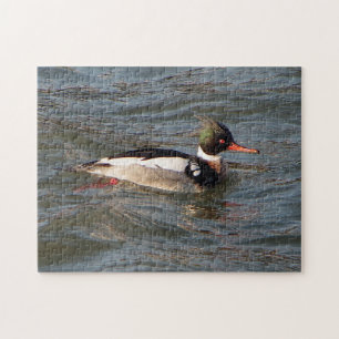 Puzzle Merganser à poitrine rouge