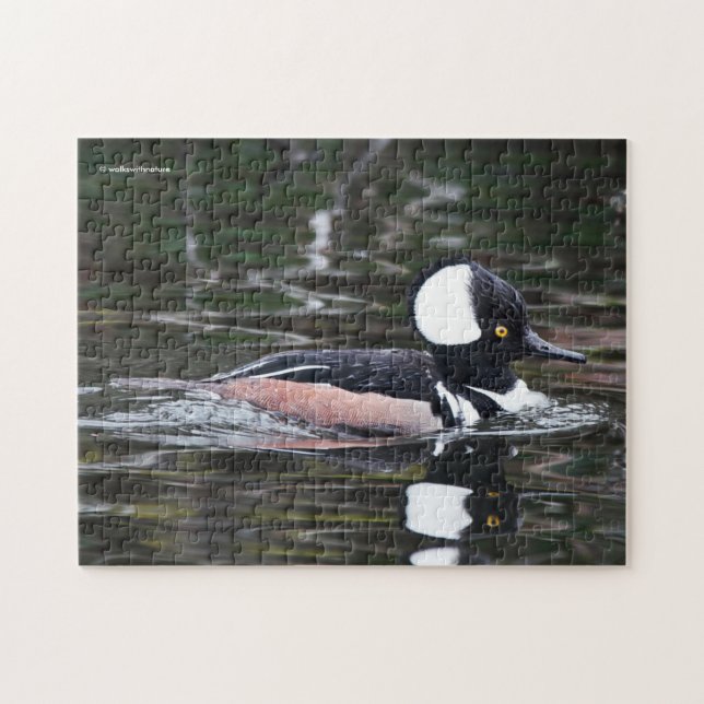Puzzle Merganser Duck à capuchon dans l'étang (Horizontal)