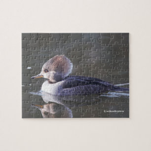 Puzzle Merganser Duck à capuchon féminin à l'étang