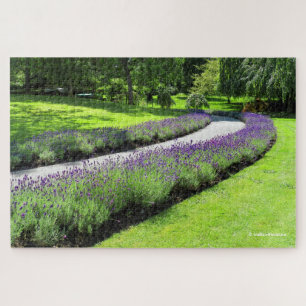 Puzzle Merveilleuse promenade de jardin bordée de lavande