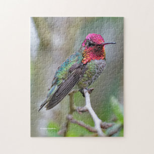 Puzzle Merveilleux colibri d'Anna masculine sur le prunie