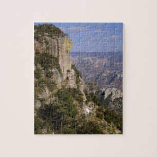 Puzzle Mexique, État de Chihuahua, Copper Canyon. CECI 2