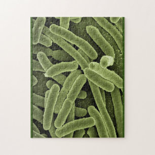 Puzzle Microscopio e.coli