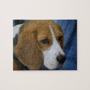 Puzzle mignon de beagle
