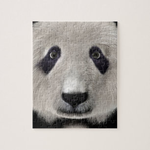 Puzzle Mignon Ours Panda Kawaii Amoureux des Animaux Cade