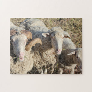 Puzzle Mignonne Moutons Famille Animaux Agneau