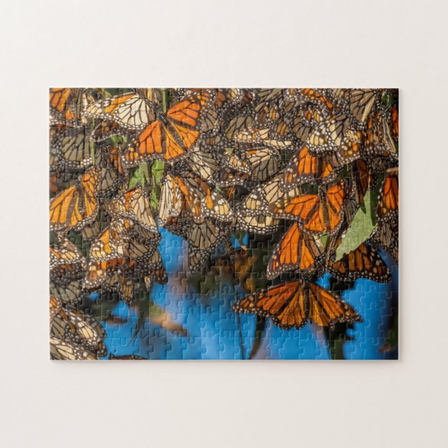 Puzzle Migration des papillons monarques accrochés aux fe (Horizontal)